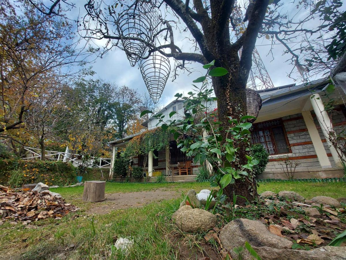 Mars Monkey Hostel & Cafe Manāli Zewnętrze zdjęcie