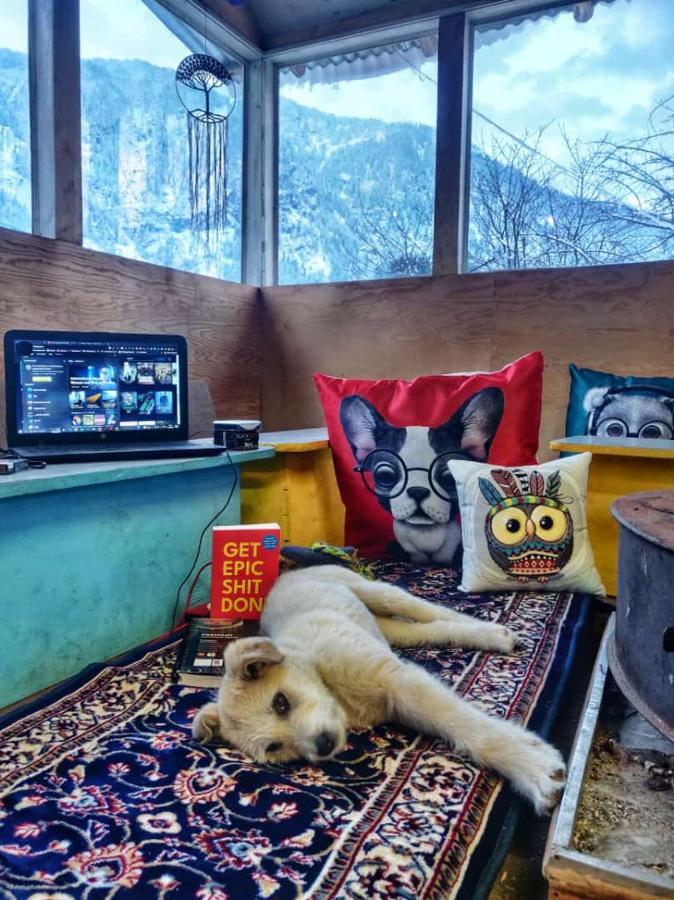 Mars Monkey Hostel & Cafe Manāli Zewnętrze zdjęcie