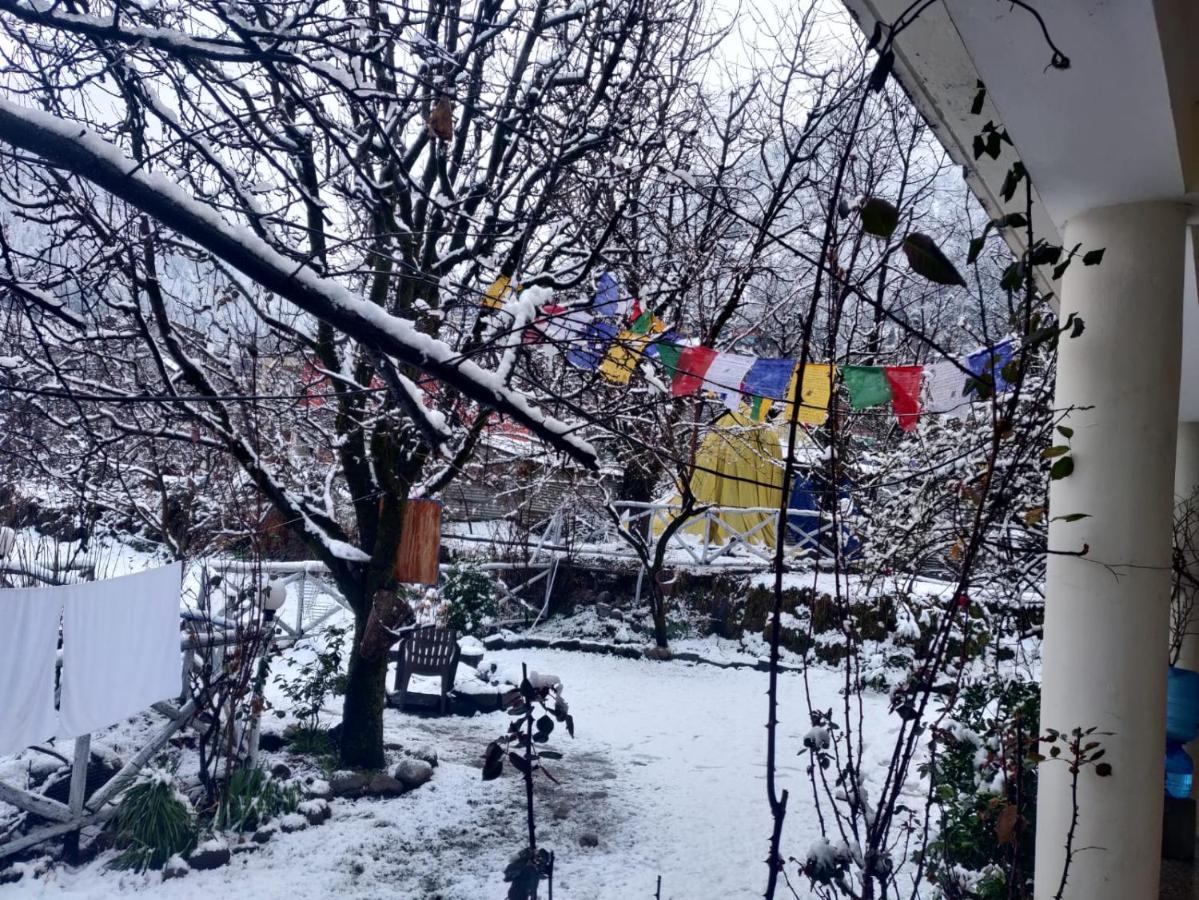 Mars Monkey Hostel & Cafe Manāli Zewnętrze zdjęcie