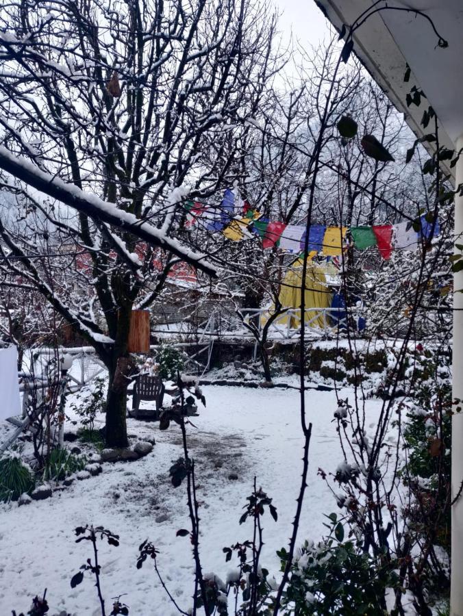 Mars Monkey Hostel & Cafe Manāli Zewnętrze zdjęcie